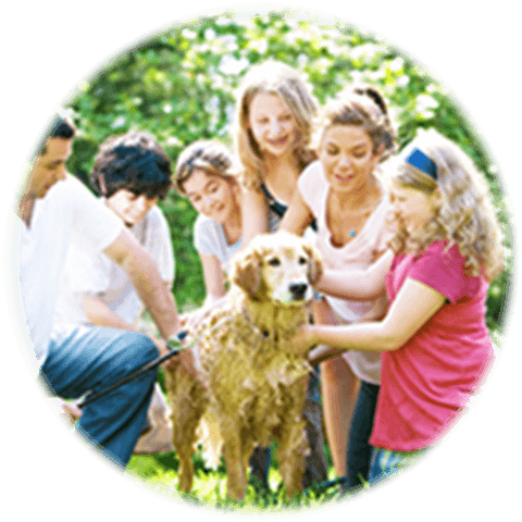 ホストファミリー